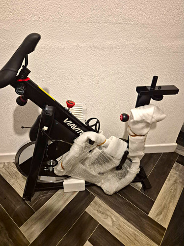 Viavito veloria upright - viavito,